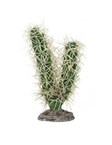 Cactus Simpson