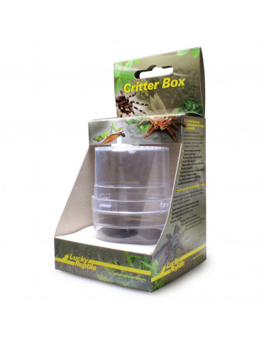 Boite d'Elevage pour araignées et mantes Critter Box